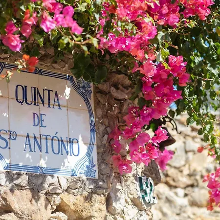 Βίλα Quinta Sto Antonio *